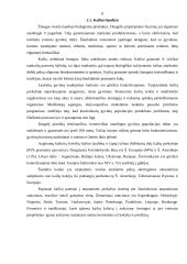 Įmonės aprašymas: prekyba kailiais AB "Vilniaus kailiai" 8 puslapis