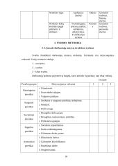 Įmonės bankroto diagnostikos nustatymas. Prevencinė audito sistema darbuotojų motyvacijai įvertinti 18 puslapis