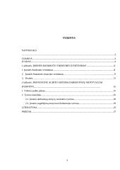 Įmonės bankroto diagnostikos nustatymas. Prevencinė audito sistema darbuotojų motyvacijai įvertinti 3 puslapis