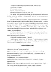 Įmonės bankroto ir reorganizavimo atvejų analizė 12 puslapis