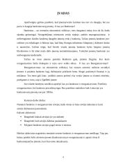 Įmonės bankroto ir reorganizavimo atvejų analizė 4 puslapis