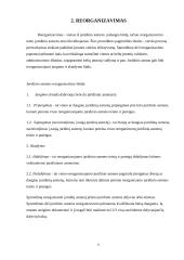 Įmonės bankroto ir reorganizavimo atvejų analizė 6 puslapis