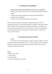 Įmonės bankroto ir reorganizavimo atvejų analizė 8 puslapis