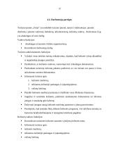 Įmonės darbo administravimas-organizavimas (steigimas ir veikla): turizmo įmonė "Frėja" 12 puslapis