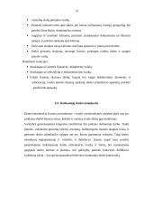 Įmonės darbo administravimas-organizavimas (steigimas ir veikla): turizmo įmonė "Frėja" 13 puslapis