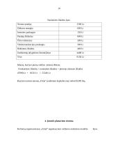 Įmonės darbo administravimas-organizavimas (steigimas ir veikla): turizmo įmonė "Frėja" 10 puslapis
