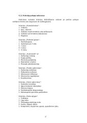 Įmonės darbuotojų analizė: V. Krasinsko IĮ "Geras batas" 17 puslapis