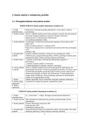 Įmonės darbuotojų analizė: V. Krasinsko IĮ "Geras batas" 4 puslapis