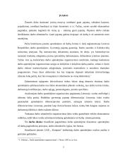 Įmonės darbuotojų darbo apmokėjimo organizavimas: siuvimo įmonė UAB "Kompata" 3 puslapis