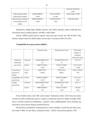 Įmonės ekonominė analizė: UAB "Savas namas" 18 puslapis