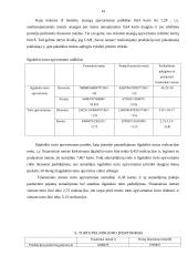 Įmonės ekonominė analizė: UAB "Savas namas" 19 puslapis