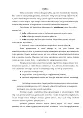 Įmonės finansinės būklės įvertinimas ir prognozavimas 12 puslapis