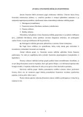 Įmonės finansinės būklės įvertinimas ir prognozavimas 3 puslapis