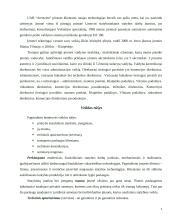 Įmonės finansų balansas: UAB "Aremesta" 4 puslapis