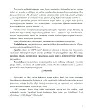 Įmonės finansų balansas: UAB "Aremesta" 7 puslapis