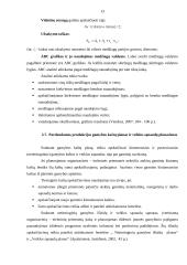 Įmonės gamybos proceso planavimas: UAB "Turtmeda" 13 puslapis