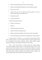 Įmonės gamybos proceso planavimas: UAB "Turtmeda" 17 puslapis