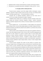 Įmonės gamybos proceso planavimas: UAB "Turtmeda" 8 puslapis
