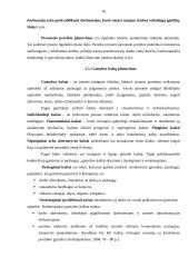 Įmonės gamybos proceso planavimas: UAB "Turtmeda" 10 puslapis