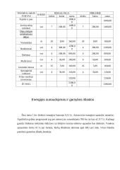 Įmonės įkūrimas, veikla ir organizavimas: autoservisas "Automobilis" 13 puslapis
