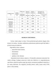 Įmonės įkūrimas, veikla ir organizavimas: autoservisas "Automobilis" 14 puslapis