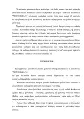 Įmonės įkūrimas, veikla ir organizavimas: autoservisas "Automobilis" 10 puslapis