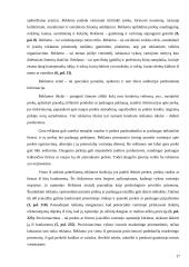 Įmonės įvaizdžio formavimo reikšmė 16 puslapis