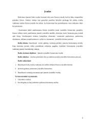 Įmonės įvaizdžio formavimo reikšmė 3 puslapis