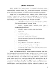 Įmonės įvaizdžio formavimo reikšmė 10 puslapis