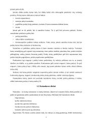 Įmonės kainų politika: AB "Rytų skirstomieji tinklai" 5 puslapis