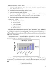 Įmonės konkurencingumo tyrimas: statybos prekės UAB "Malonė" 16 puslapis