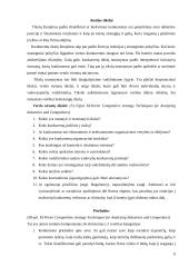 Įmonės konkurencingumo tyrimas: statybos prekės UAB "Malonė" 6 puslapis