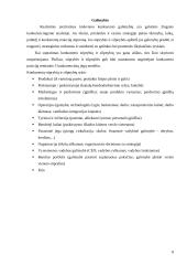 Įmonės konkurencingumo tyrimas: statybos prekės UAB "Malonė" 8 puslapis