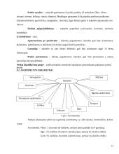 Įmonės marketingas: siuvykla UAB "Svaja" 12 puslapis