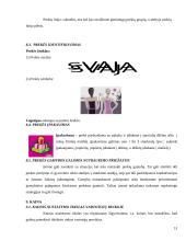 Įmonės marketingas: siuvykla UAB "Svaja" 13 puslapis