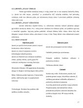 Įmonės marketingas: siuvykla UAB "Svaja" 17 puslapis