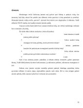 Įmonės marketingas: siuvykla UAB "Svaja" 18 puslapis