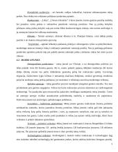 Įmonės marketingas: siuvykla UAB "Svaja" 5 puslapis