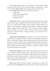Įmonės marketingo komplektas: draudimas "ERGO Lietuva" 4 puslapis