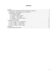Įmonės marketingo makroaplinkos analizė: UAB "Samega" 2 puslapis