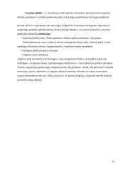 Įmonės marketingo makroaplinkos analizė: UAB "Samega" 14 puslapis