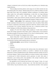 Įmonės marketingo makroaplinkos analizė: UAB "Samega" 18 puslapis