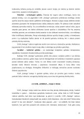 Įmonės marketingo makroaplinkos analizė: UAB "Samega" 19 puslapis