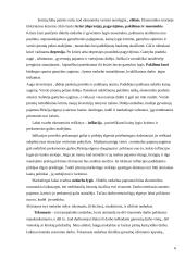 Įmonės marketingo makroaplinkos analizė: UAB "Samega" 6 puslapis