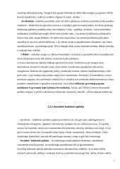 Įmonės marketingo makroaplinkos analizė: UAB "Samega" 7 puslapis