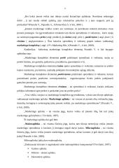 Įmonės marketingo padalinio analizė: UAB "Norvelita" 6 puslapis