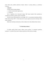 Įmonės marketingo sprendimai: AB "Dainava" 13 puslapis