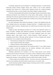 Įmonės marketingo sprendimai: AB "Dainava" 6 puslapis