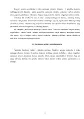 Įmonės marketingo sprendimai: AB "Dainava" 10 puslapis