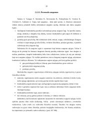 Įmonės personalas kaip sėkmės veiksnys 20 puslapis